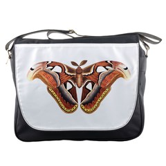 Butterfly Animal Insect Isolated Messenger Bags by Simbadda