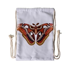 Butterfly Animal Insect Isolated Drawstring Bag (small) by Simbadda