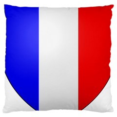 Shield On The French Senate Entrance Large Cushion Case (one Side) by abbeyz71