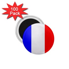 Shield On The French Senate Entrance 1 75  Magnets (100 Pack)  by abbeyz71