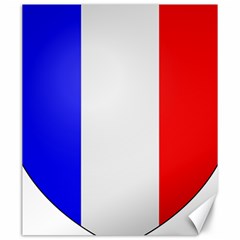 Shield On The French Senate Entrance Canvas 20  X 24   by abbeyz71