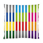 Color Bars Rainbow Green Blue Grey Red Pink Orange Yellow White Line Vertical Standard Cushion Case (Two Sides) Back