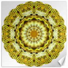 Fractal Flower Canvas 16  X 16   by Simbadda