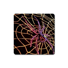 Black Widow Spider, Yellow Web Square Magnet by Simbadda