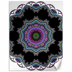 Fractal Lace Canvas 12  X 16  