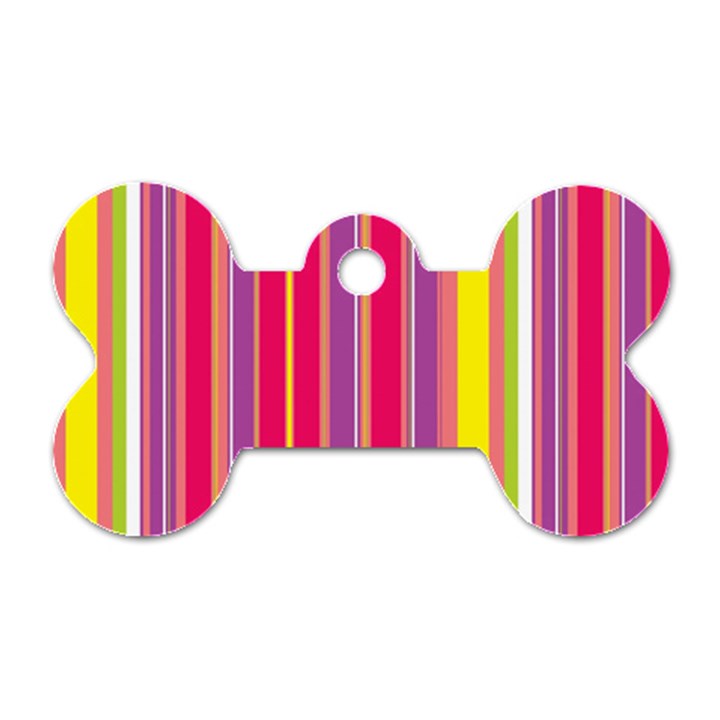 Stripes Colorful Background Dog Tag Bone (Two Sides)