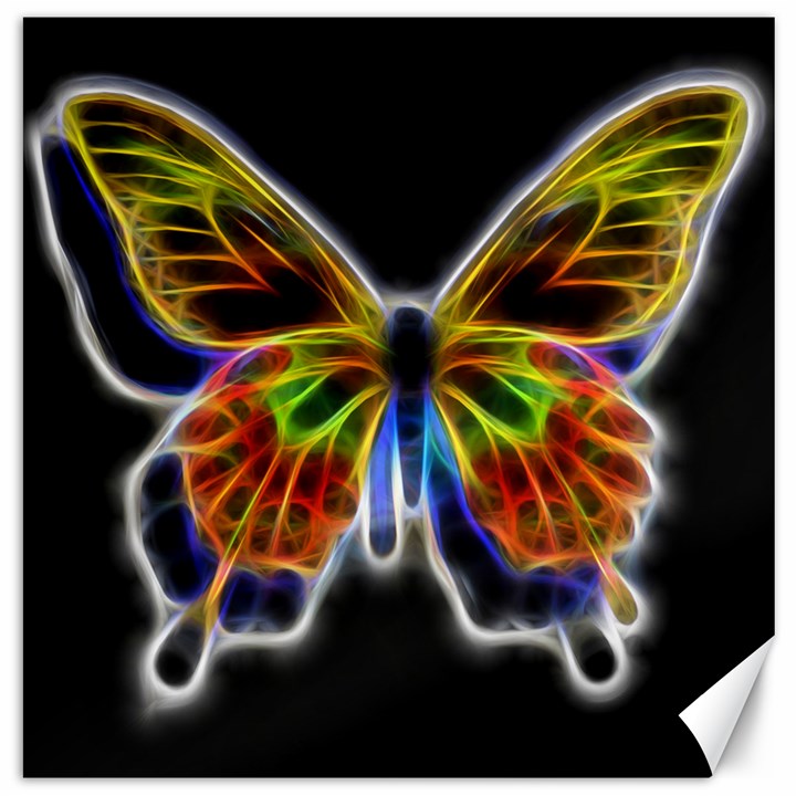 Fractal Butterfly Canvas 16  x 16  