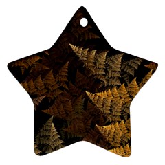 Fractal Fern Star Ornament (two Sides) by Simbadda