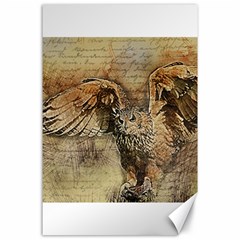 Vintage Owl Canvas 24  X 36 