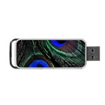 Peacock Feather Portable USB Flash (One Side) Front