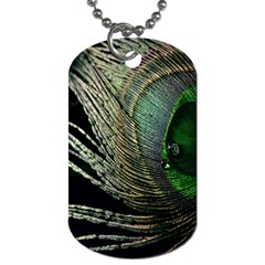 Feather Peacock Drops Green Dog Tag (two Sides) by Simbadda