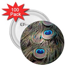 Colorful Peacock Feathers Background 2 25  Buttons (100 Pack)  by Simbadda