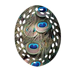 Colorful Peacock Feathers Background Oval Filigree Ornament (two Sides) by Simbadda