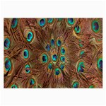 Peacock Pattern Background Large Glasses Cloth Front