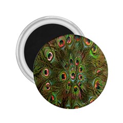 Peacock Feathers Green Background 2 25  Magnets by Simbadda