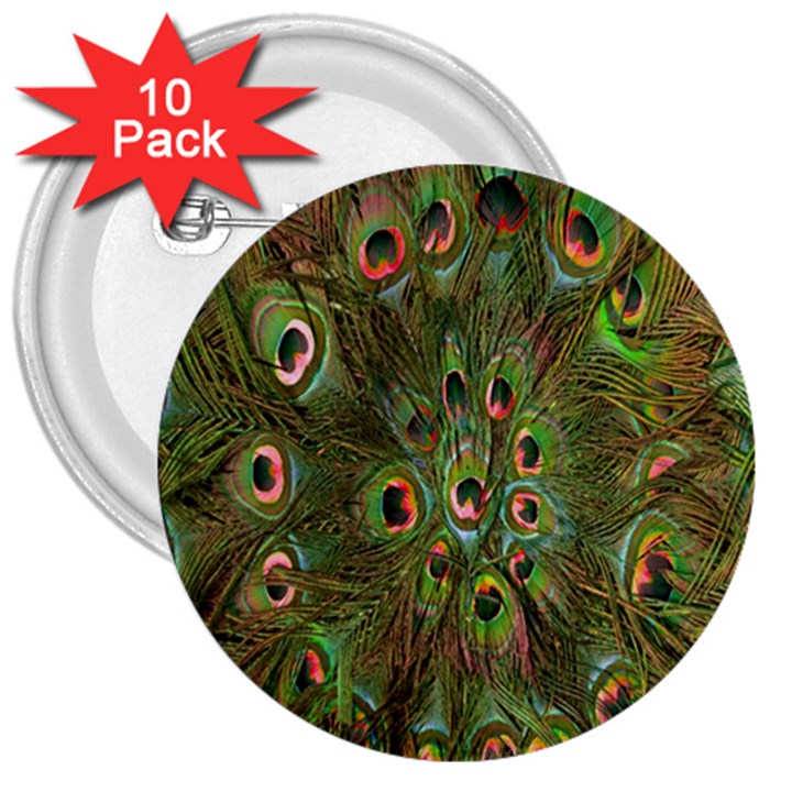 Peacock Feathers Green Background 3  Buttons (10 pack) 
