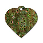 Peacock Feathers Green Background Dog Tag Heart (Two Sides) Front