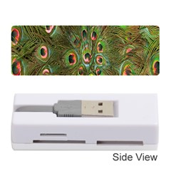 Peacock Feathers Green Background Memory Card Reader (stick)  by Simbadda