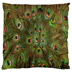 Peacock Feathers Green Background Large Flano Cushion Case (two Sides) by Simbadda