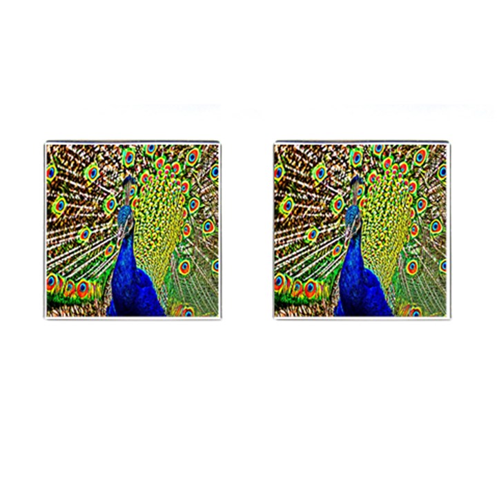 Graphic Painting Of A Peacock Cufflinks (Square)
