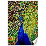 Graphic Painting Of A Peacock Canvas 20  x 30   19.62 x28.9  Canvas - 1