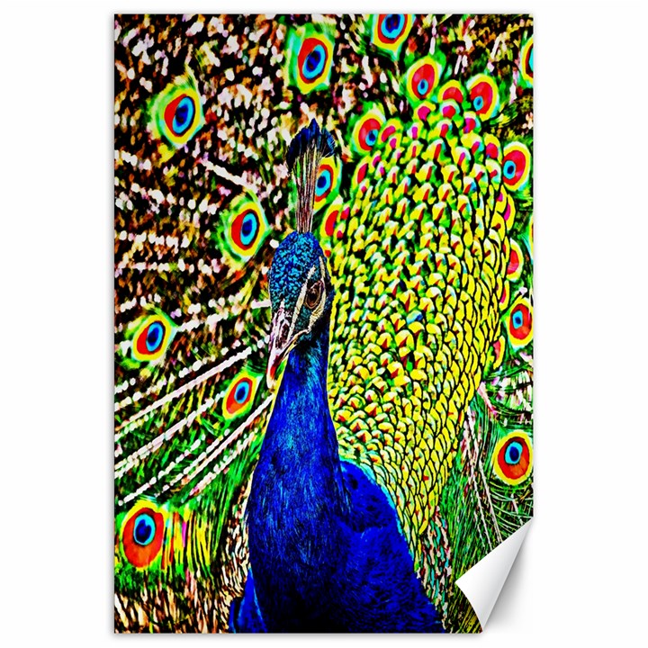 Graphic Painting Of A Peacock Canvas 20  x 30  