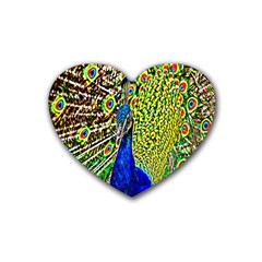 Graphic Painting Of A Peacock Heart Coaster (4 Pack)  by Simbadda