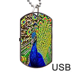 Graphic Painting Of A Peacock Dog Tag Usb Flash (one Side) by Simbadda