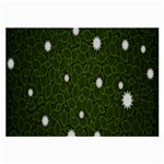 Graphics Green Leaves Star White Floral Sunflower Large Glasses Cloth Front