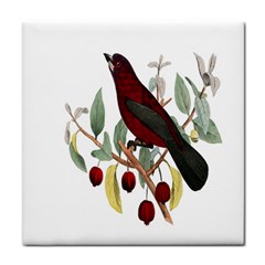 Bird On Branch Illustration Tile Coasters by Amaryn4rt