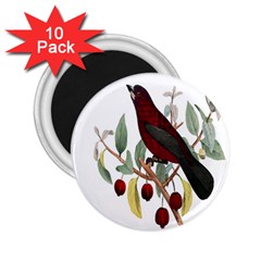 Bird On Branch Illustration 2 25  Magnets (10 Pack) 