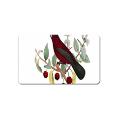 Bird On Branch Illustration Magnet (name Card) by Amaryn4rt