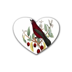 Bird On Branch Illustration Heart Coaster (4 Pack)  by Amaryn4rt