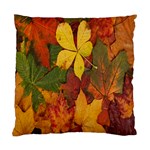 Colorful Autumn Leaves Leaf Background Standard Cushion Case (Two Sides) Front