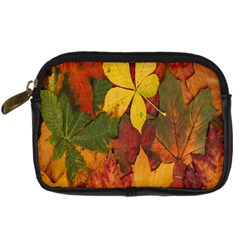 Colorful Autumn Leaves Leaf Background Digital Camera Cases