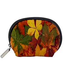 Colorful Autumn Leaves Leaf Background Accessory Pouches (small)  by Amaryn4rt