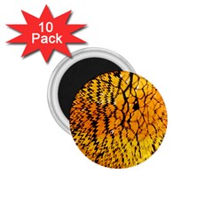 Yellow Chevron Zigzag Pattern 1.75  Magnets (10 pack) 