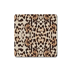 Leopard pattern Square Magnet