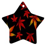 Colorful Autumn Leaves On Black Background Star Ornament (Two Sides) Front