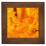 Bright Yellow Autumn Leaves Framed Tiles Front