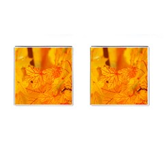 Bright Yellow Autumn Leaves Cufflinks (square) by Amaryn4rt