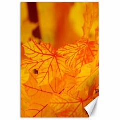 Bright Yellow Autumn Leaves Canvas 20  X 30   by Amaryn4rt