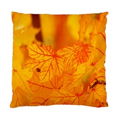 Bright Yellow Autumn Leaves Standard Cushion Case (one Side)