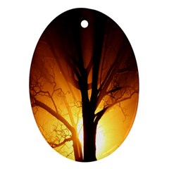 Rays Of Light Tree In Fog At Night Ornament (Oval)