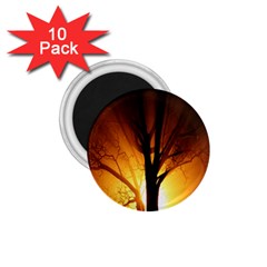 Rays Of Light Tree In Fog At Night 1.75  Magnets (10 pack) 