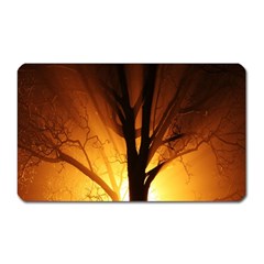 Rays Of Light Tree In Fog At Night Magnet (Rectangular)