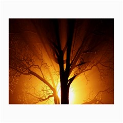 Rays Of Light Tree In Fog At Night Small Glasses Cloth by Amaryn4rt