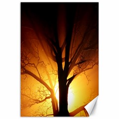 Rays Of Light Tree In Fog At Night Canvas 12  x 18  