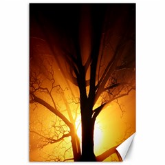 Rays Of Light Tree In Fog At Night Canvas 24  x 36 