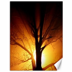 Rays Of Light Tree In Fog At Night Canvas 36  x 48  